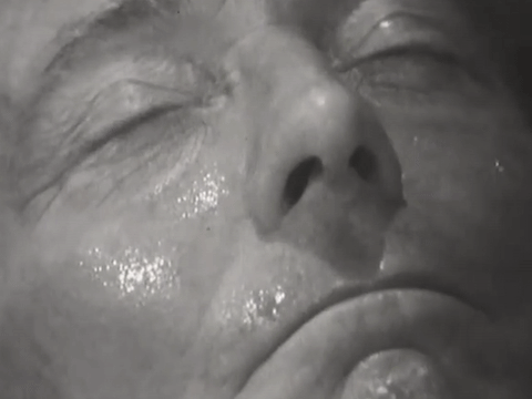 1stdoctorregeneration